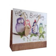 Punga pentru cadou medie - Owl Party Alex Clark