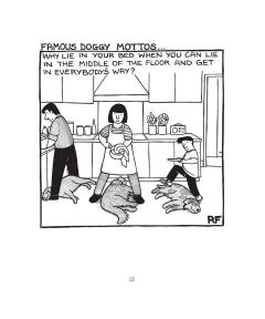 Off The Leash - It's a Dog's Life