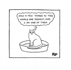 On the Prowl - The Secret Life of Cats