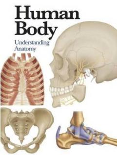 Coperta cărții Human Body