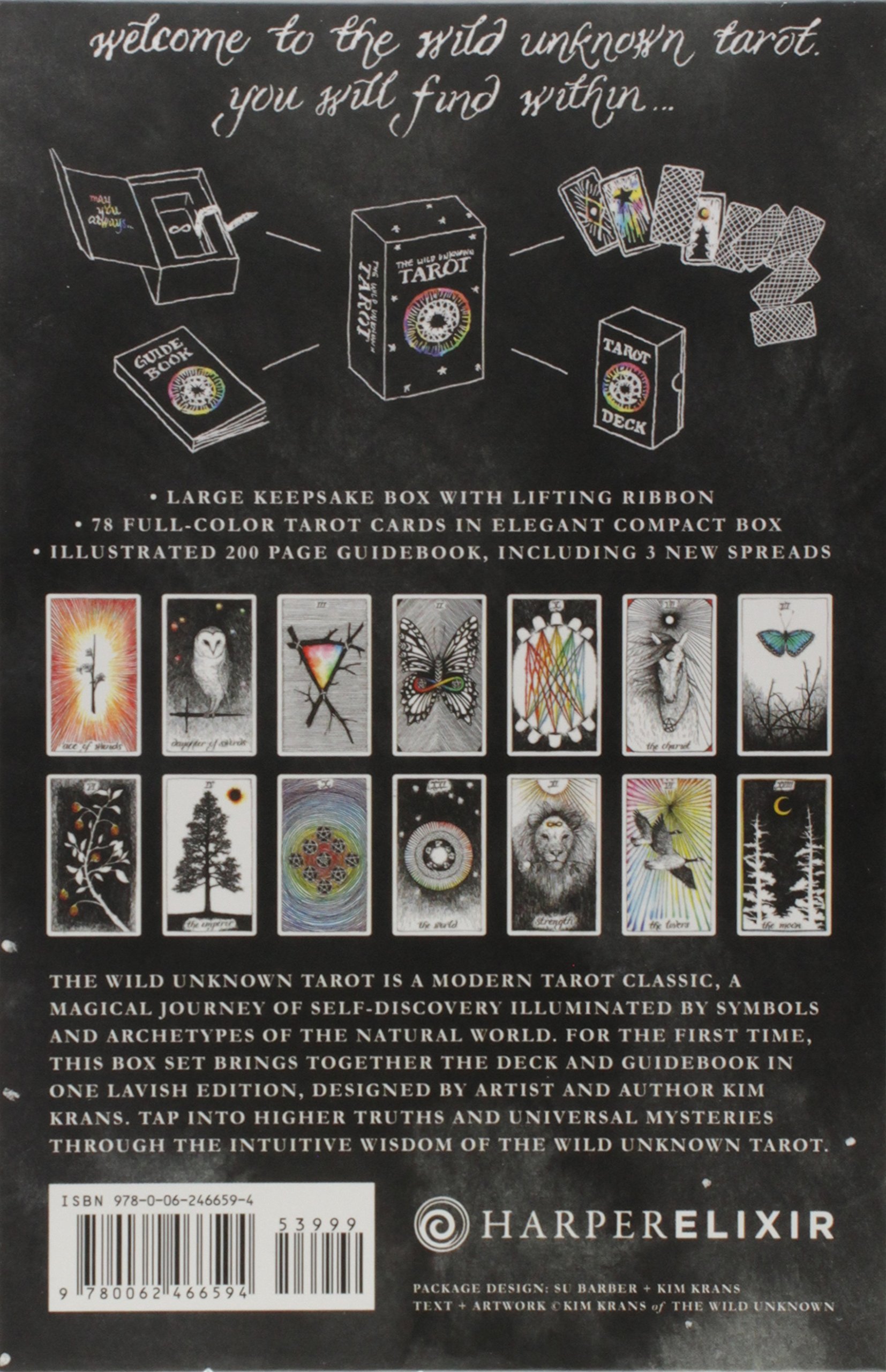 the wild unknown tarot