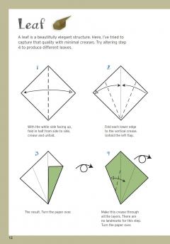 Nick Robinson's Beginning Origami Kit