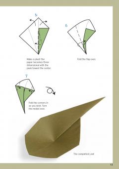 Nick Robinson's Beginning Origami Kit
