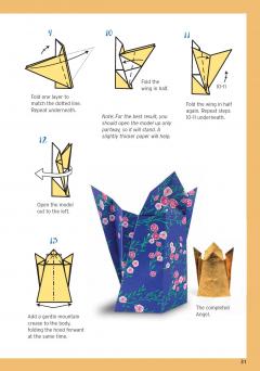 Nick Robinson's Beginning Origami Kit