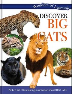 Discover Big Cats