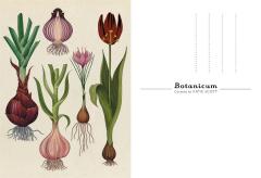 Carte postala - Botanicum - Welcome To The Museum