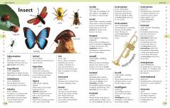 First Children's Dictionary