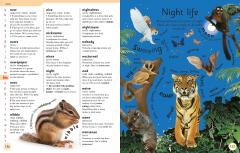 First Children's Dictionary