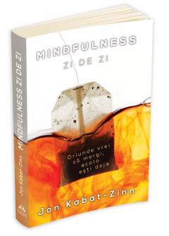 Mindfulness zi de zi