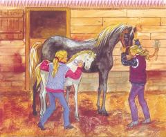 Princess Top Horses Coloring Book