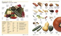 Hindi English Bilingual Visual Dictionary