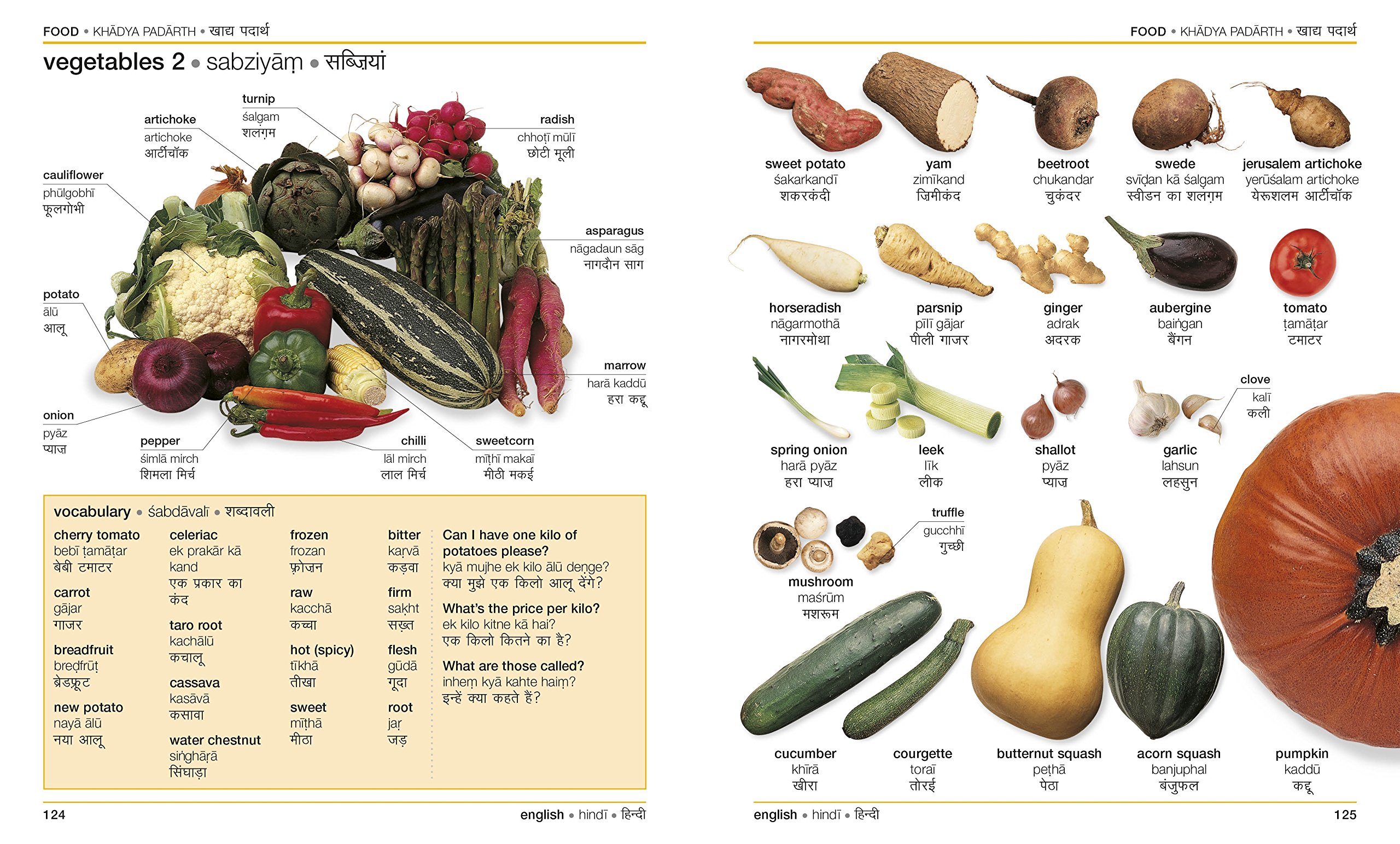 Hindi English Bilingual Visual Dictionary