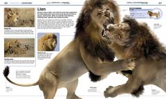 Knowledge Encyclopedia Animal