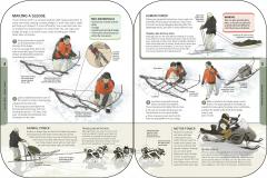 The Survival Handbook