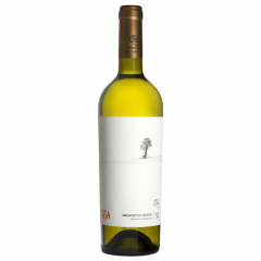 Vin alb - Issa La Salina, Sauvignon Blanc. 2014, sec