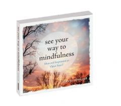 See Your Way To Mindfulness David Schiller
