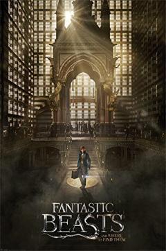 Poster maxi - Fantastic Beasts Teaser Pyramid International