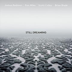 Still Dreaming - Vinyl