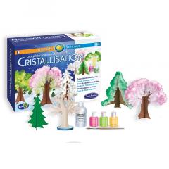 Kit creativ - Les Phenomenes de Cristallisation