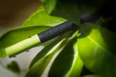 Creion Grafit - Perpetua the pencil - White Eraser