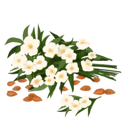 Lumanare parfumata - Migdale Dulci si Iasomie