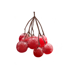 Lumanare parfumata - Soc si Caprifoi