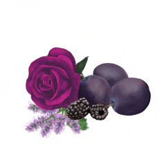 Lumanare parfumata - Prune si Patchouli