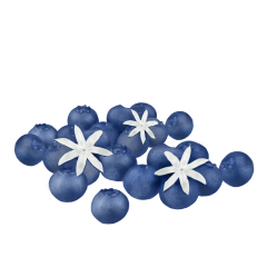 Lumanare parfumata - Coacaze si Iasomie