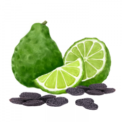 Lumanare parfumata - Tonka si Bergamota