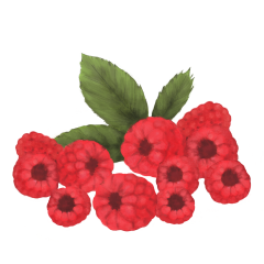 Lumanare parfumata - Zmeura Coapta