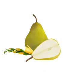 Lumanare parfumata - Para Englezeasca si Frezie