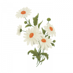 Lumanare parfumata - Margarete