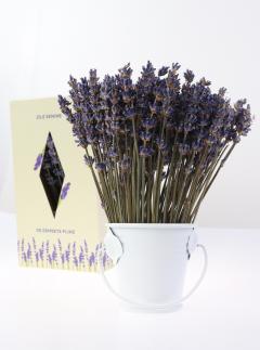 Aranjament floral - Galetusa cu lavanda, alb