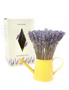 Aranjament floral - Mini stropitoare cu lavanda, galben