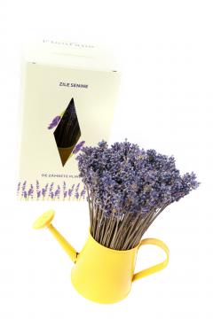 Aranjament floral - Mini stropitoare cu lavanda, galben