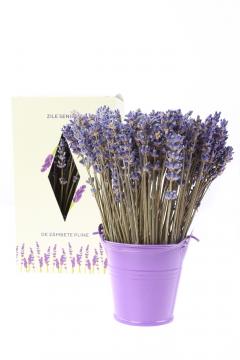 Aranjament floral - Galetusa cu lavanda, mov