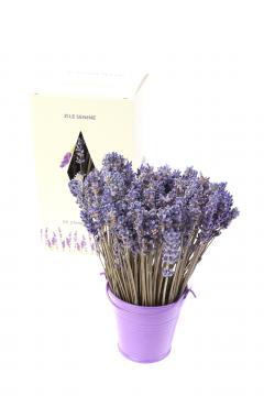 Aranjament floral - Galetusa cu lavanda, mov
