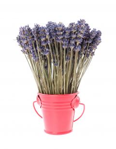 Aranjament floral - Galetusa cu lavanda, rosu