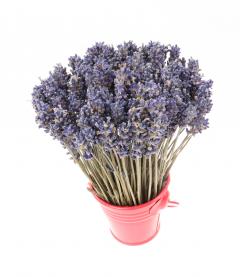 Aranjament floral - Galetusa cu lavanda, rosu
