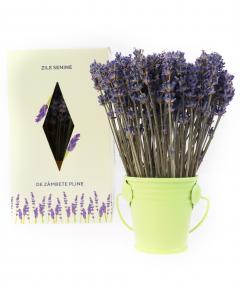 Aranjament floral - Galetusa cu lavanda, verde