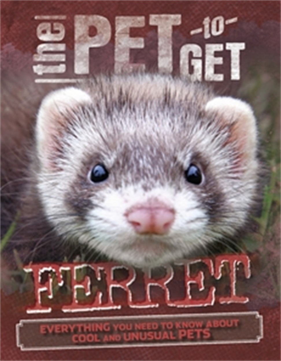 Pet to Get: Ferret