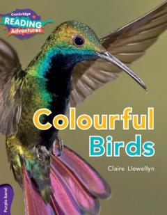 Coperta cărții Colourful Birds Purple Band