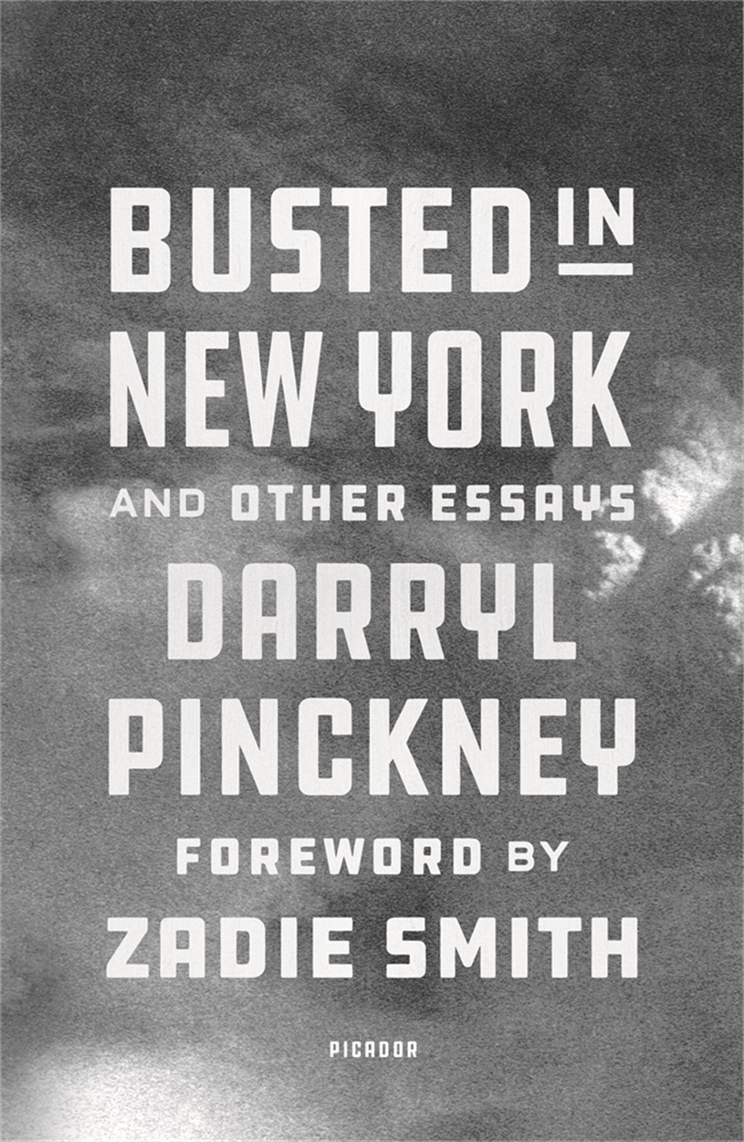 Busted in New York &amp; Other Essays