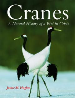 Cranes