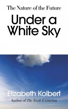 Under a White Sky