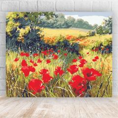 Kit pictura pe numere - Tablou pentru suflet