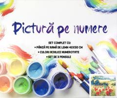 Kit pictura pe numere - Tablou pentru suflet