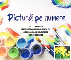 Kit pictura pe numere - Sufletul Primaverii