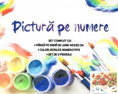 Kit pictura pe numere - Campia intr-o vaza