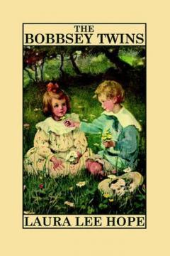 Coperta cărții Bobbsey Twins